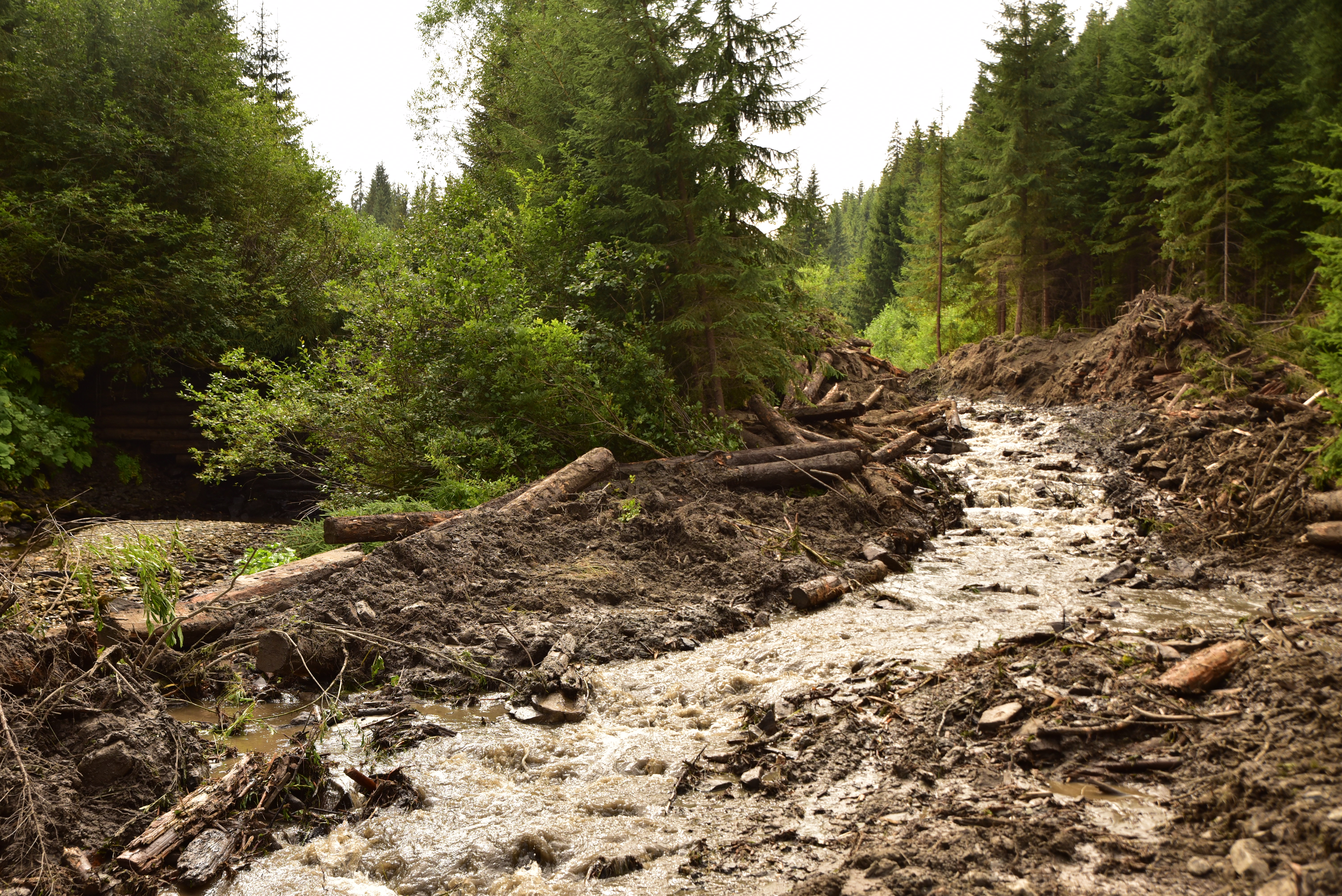 Removal of the Lostunets Dam, Ukraine